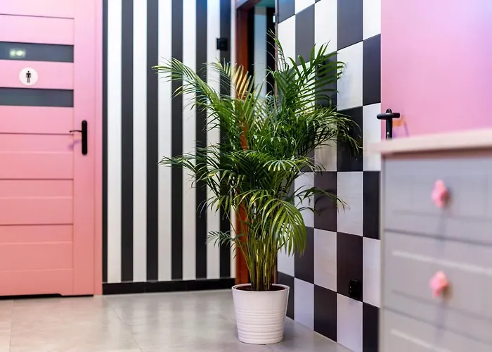 Vice * 弗罗茨瓦夫