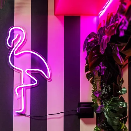 Vandrarhem Vice Wrocław